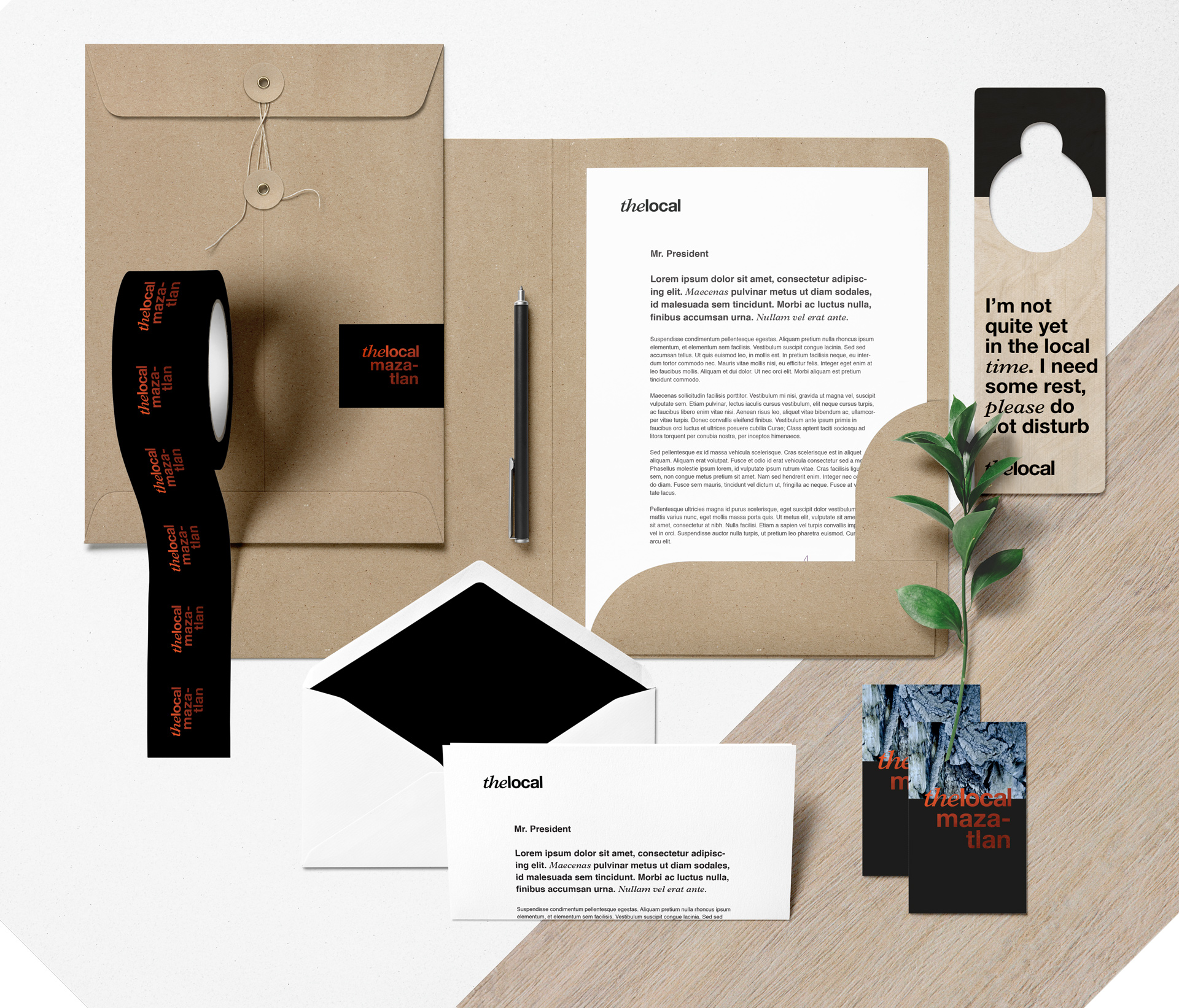 TheLocal_Stationary